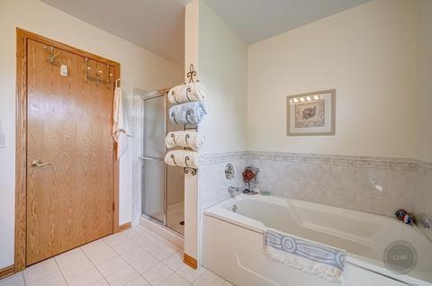 11461 S Preakness Dr, Plainfield, IL 60585 photo 15