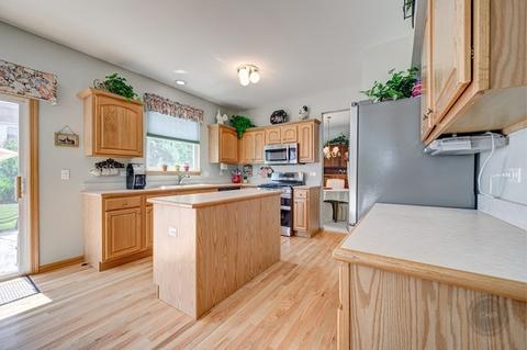 11461 S Preakness Dr, Plainfield, IL 60585 photo 4