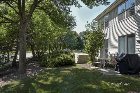 14 Steven Ct, Algonquin, IL 60102 photo 16