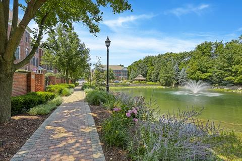 107 Spring Ave, Naperville, IL 60540 photo 24