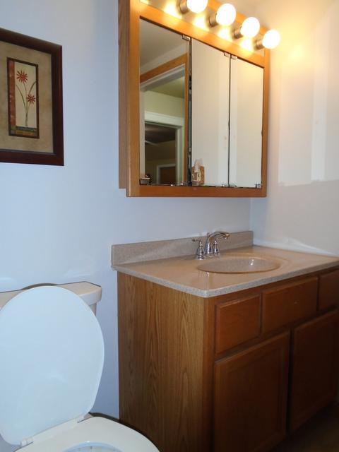 3238 N Schultz Dr, Lansing, IL 60438 photo 32