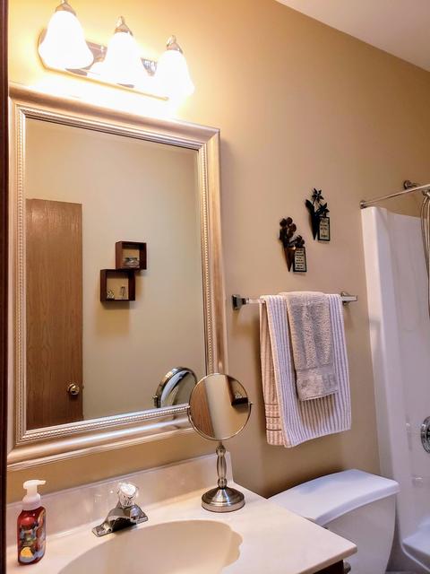 1505 Skylark Ln, Plainfield, IL 60586 photo 22