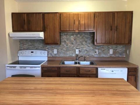 412 E Broadway St, Tolono, IL 61880 photo 13