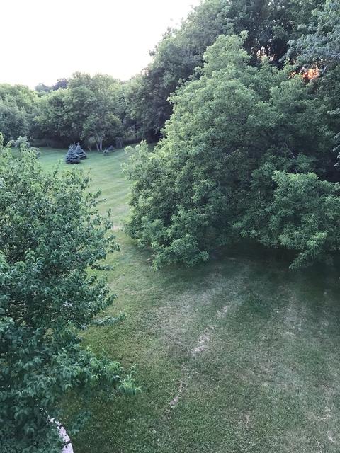 7309 Hillside Dr, Spring Grove, IL 60081 photo 43