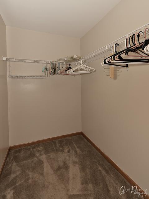 5203 Cobblers Xing, Mchenry, IL 60050 photo 18