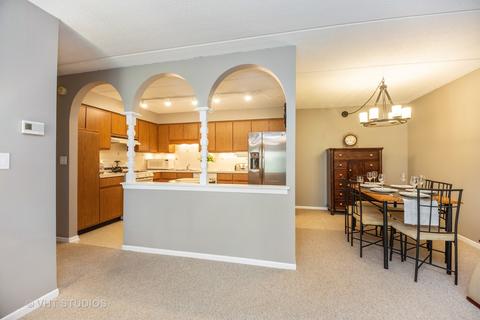 1436 E Thacker St #409, Des Plaines, IL 60016 photo 5