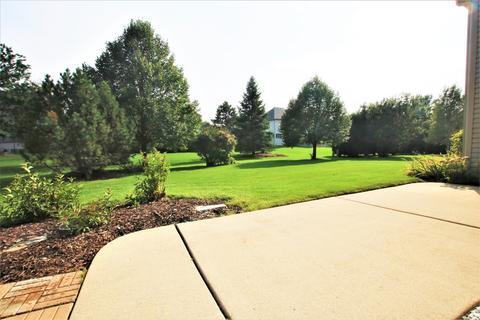 2041 Robinwood Dr, Algonquin, IL 60102 photo 28