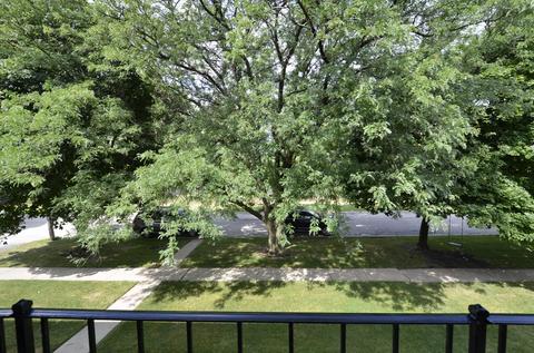 8019 Beloit Ave #2A, Bridgeview, IL 60455 photo 19
