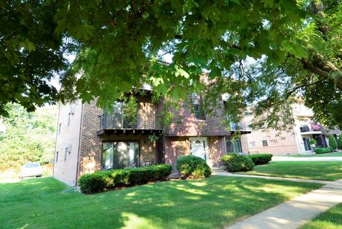 8019 Beloit Ave #2A, Bridgeview, IL 60455 photo 3