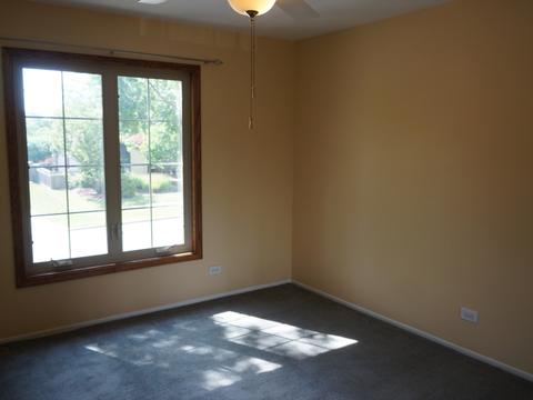 183 Kingston Ln, Bloomingdale, IL 60108 photo 10