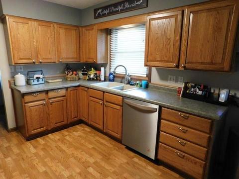 110 E Odell St, Gardner, IL 60424 photo 6