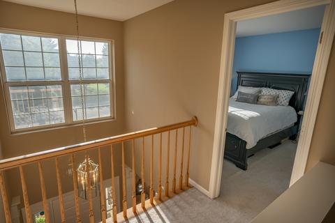 3 Hithergreen Ct, Algonquin, IL 60102 photo 16
