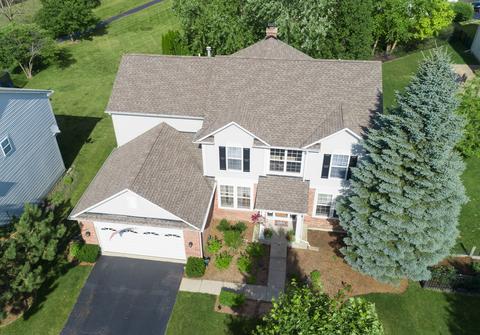 3 Hithergreen Ct, Algonquin, IL 60102 photo 9