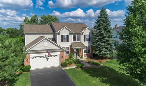 3 Hithergreen Ct, Algonquin, IL 60102 photo 5