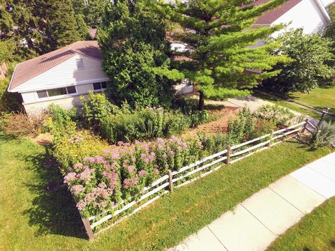1123 E Grant Dr, Des Plaines, IL 60016 photo 1