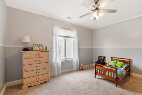 3910 Hoffman St, Plano, IL 60545 photo 17