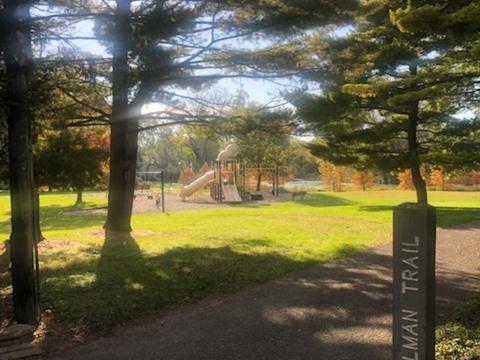 1340 Golfview St, Aurora, IL 60506 photo 20