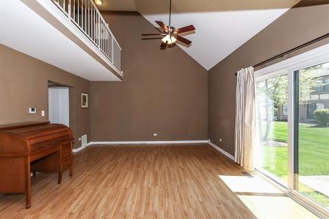 4571 Olmstead Dr, Hoffman Estates, IL 60192 photo 4