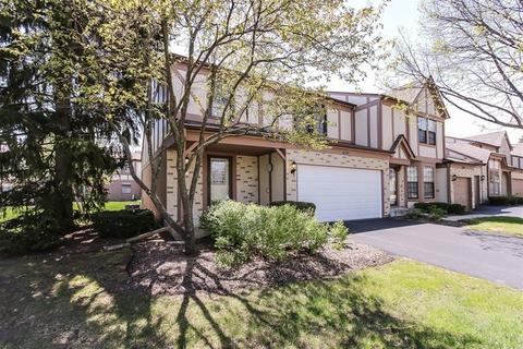 4571 Olmstead Dr, Hoffman Estates, IL 60192 photo 2