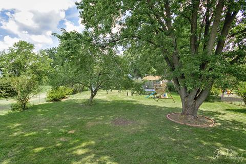 173 S Union St, Elgin, IL 60123 photo 22