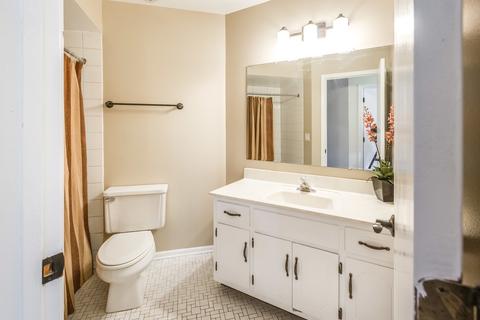 9723 Mill Ct E #E2, Palos Park, IL 60464 photo 9