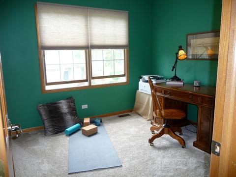852 Kingston Ln, Bartlett, IL 60103 photo 34