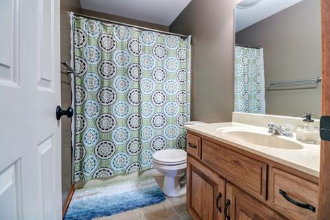 24 S Scarborough Ct, Sidney, IL 61877 photo 28