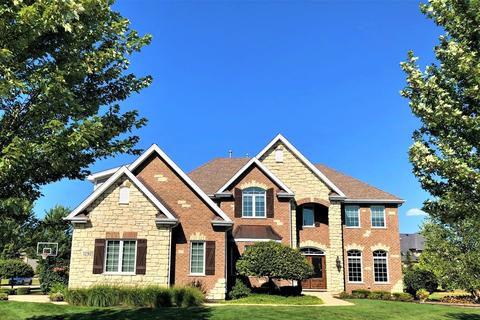 12901 Alpine Way, Plainfield, IL 60585 photo 1
