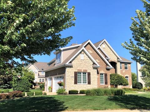 12901 Alpine Way, Plainfield, IL 60585 photo 3