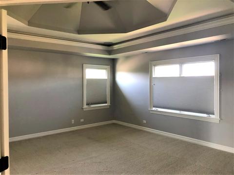 12901 Alpine Way, Plainfield, IL 60585 photo 26
