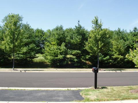 2872 Lundquist Dr, Aurora, IL 60503 photo 29