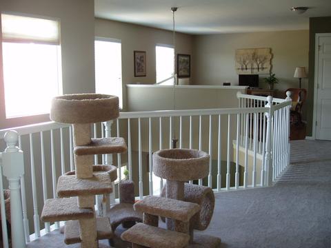 2872 Lundquist Dr, Aurora, IL 60503 photo 18
