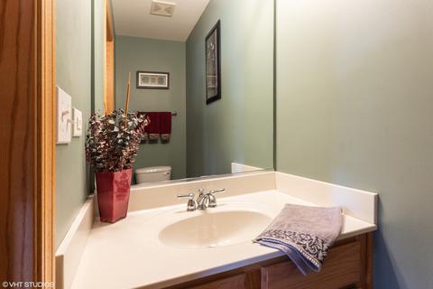1702 Red Maple Dr, Plainfield, IL 60586 photo 8