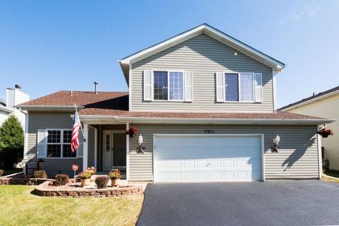 7011 Pyramid Dr, Plainfield, IL 60586 photo 1
