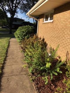 1419 E Thayer St, Mount Prospect, IL 60056 photo 20