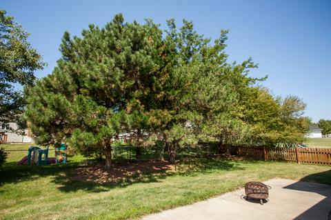 707 Cherry Tree Ln, Genoa, IL 60135 photo 45
