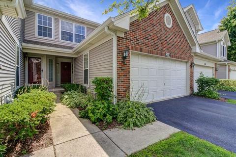 253 Millers Xing, Itasca, IL 60143 photo 1