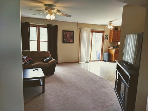 310 Chippewa Dr, Minooka, IL 60447 photo 9