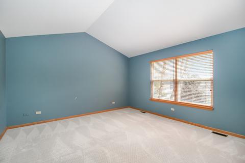 1802 Whispering Oaks Ct, Plainfield, IL 60586 photo 15
