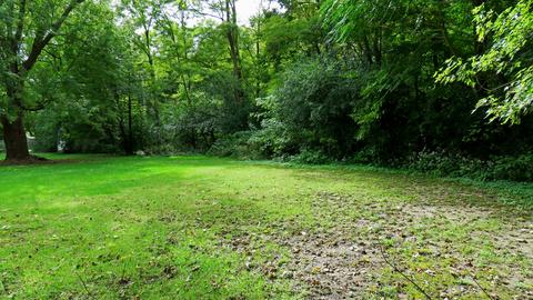 909 S Linden St, Normal, IL 61761 photo 8