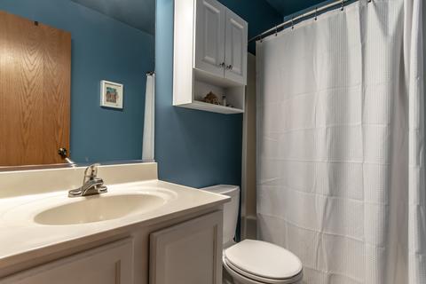 2309 Willow Lakes Dr, Plainfield, IL 60586 photo 29
