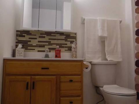 324 S Bone Dr, Normal, IL 61761 photo 17
