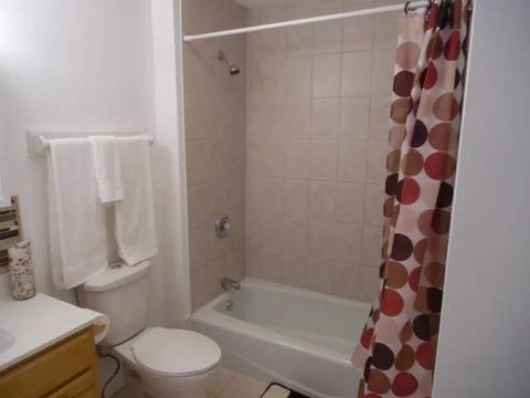 324 S Bone Dr, Normal, IL 61761 photo 15