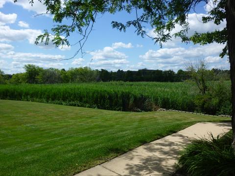 2350 Dawson Ln, Algonquin, IL 60102 photo 3
