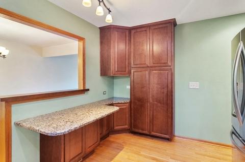 927 E Paddock Dr, Palatine, IL 60074 photo 8