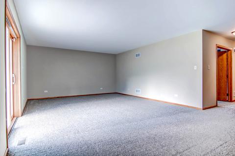 3237 E Buried Oak Dr, Crete, IL 60417 photo 24