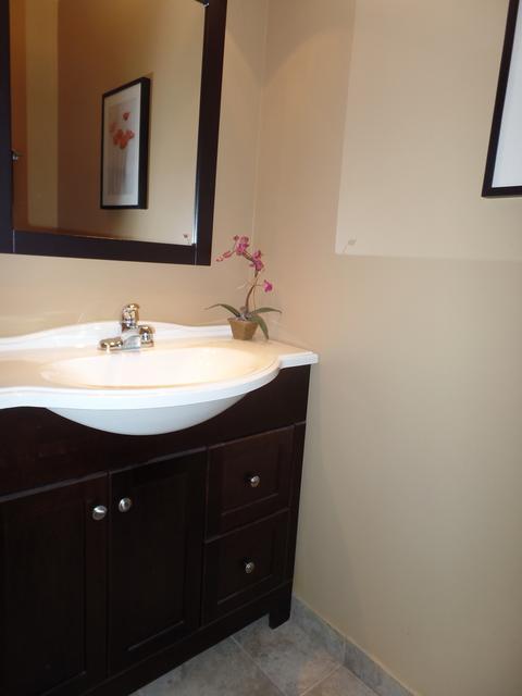 1011 Bentley Ln, Bartlett, IL 60103 photo 11