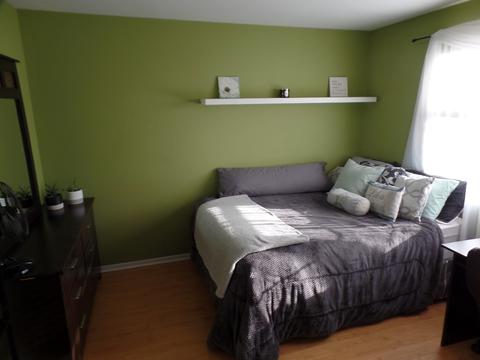 1011 Bentley Ln, Bartlett, IL 60103 photo 18