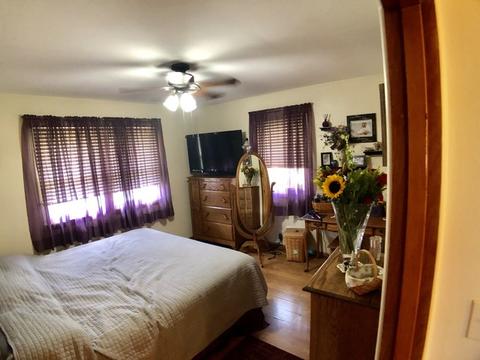 834 E Locust St, Ladd, IL 61329 photo 11
