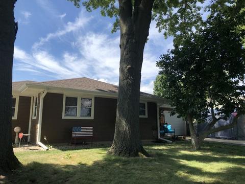 834 E Locust St, Ladd, IL 61329 photo 3